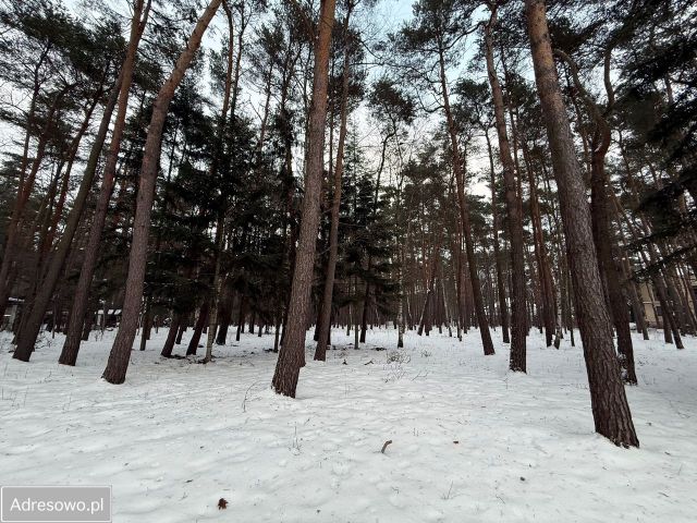 Działka budowlana Chylice, ul. Sąsiedzka. Zdjęcie 1