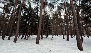 Działka budowlana Chylice, ul. Sąsiedzka