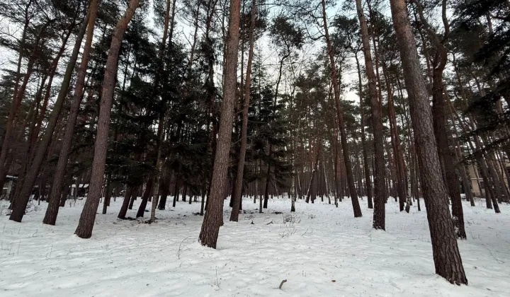Działka budowlana Chylice, ul. Sąsiedzka
