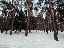 Działka budowlana Chylice, ul. Sąsiedzka