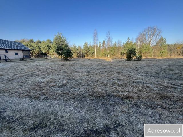 Działka siedliskowa Wytyczno. Zdjęcie 1