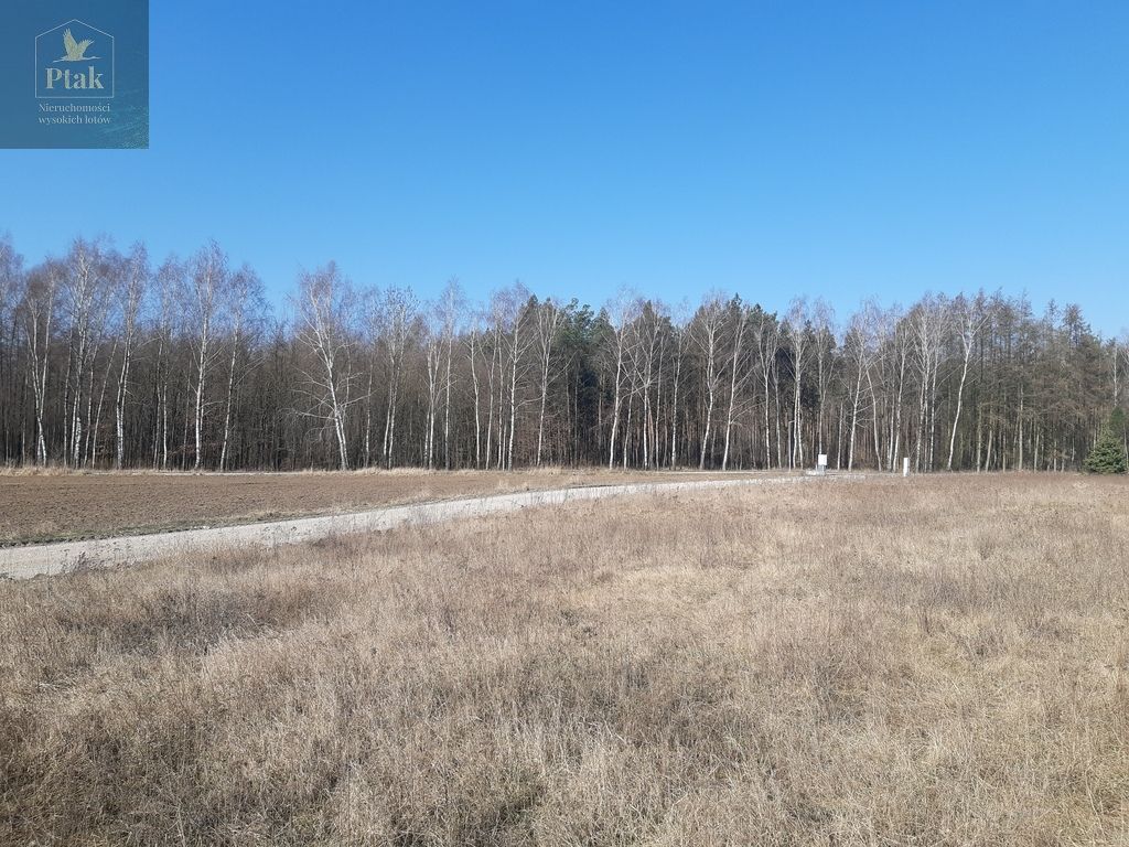 Działka budowlana Chwałkówko. Zdjęcie 6