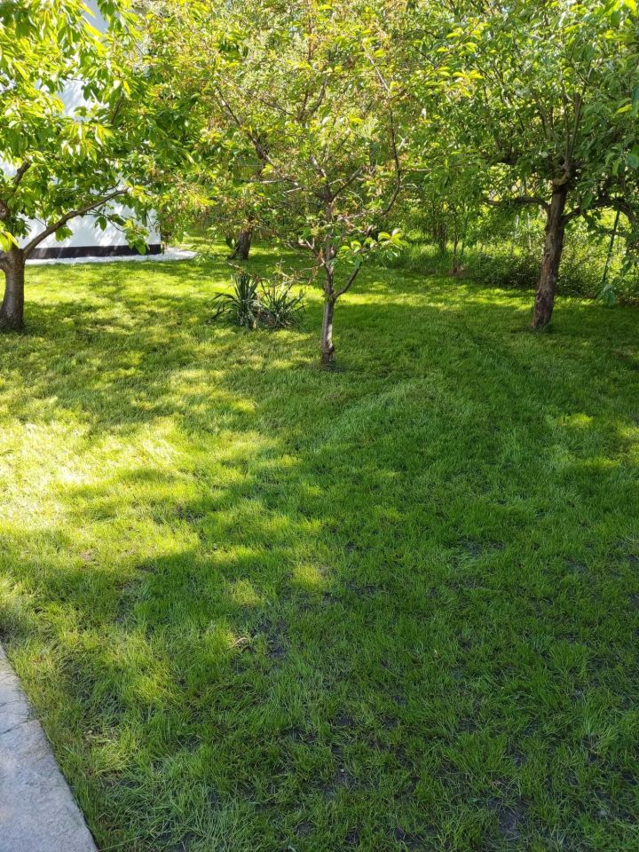 Działka rod Słomin. Zdjęcie 8
