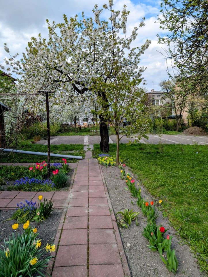 dom wolnostojący, 2 pokoje Chełm, ul. Grunwaldzka. Zdjęcie 12