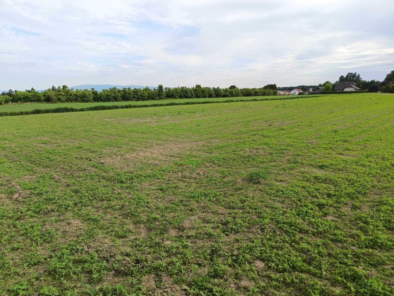 Działka budowlana Goczałkowice-Zdrój. Zdjęcie 4