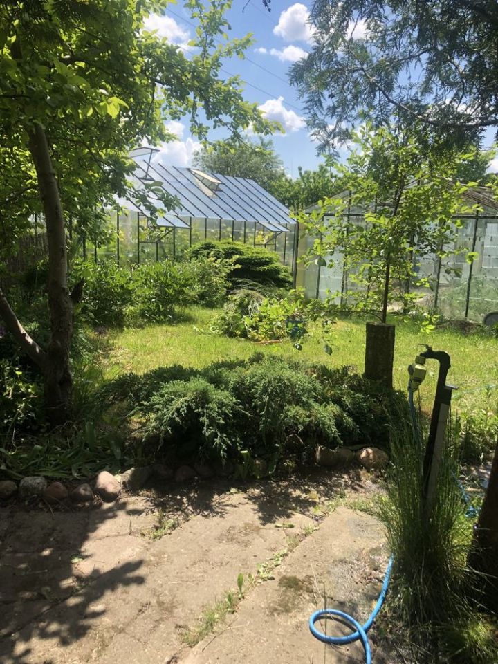 Działka rod Ełk, ul. gen. Władysława Sikorskiego. Zdjęcie 6