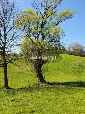Działka budowlana Postołów. Zdjęcie 15