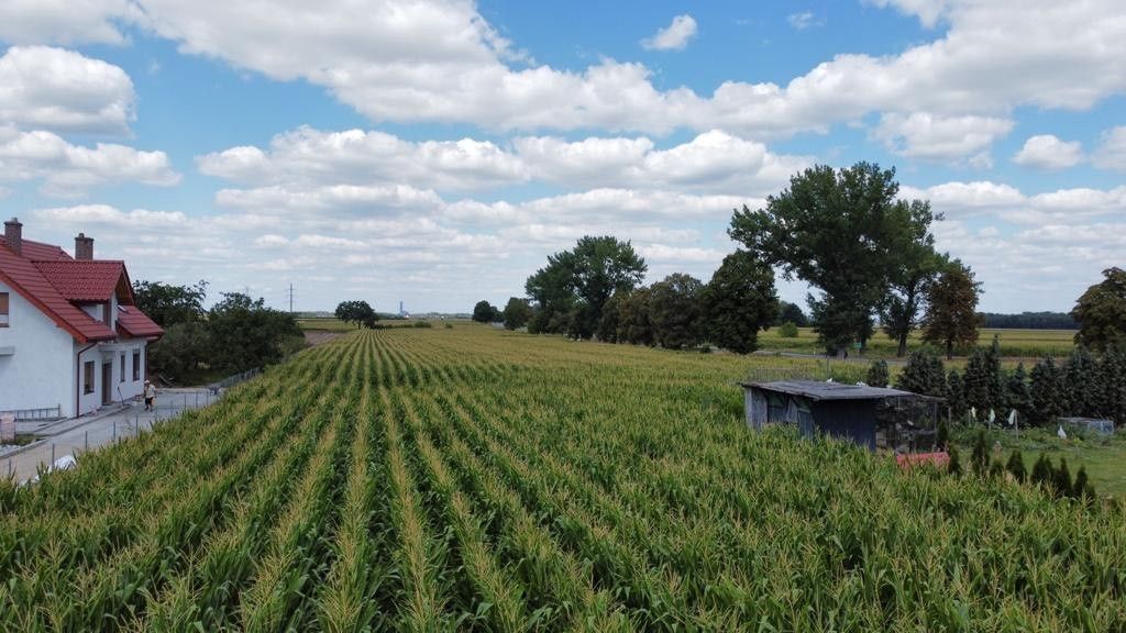 Działka inwestycyjna Turów. Zdjęcie 2