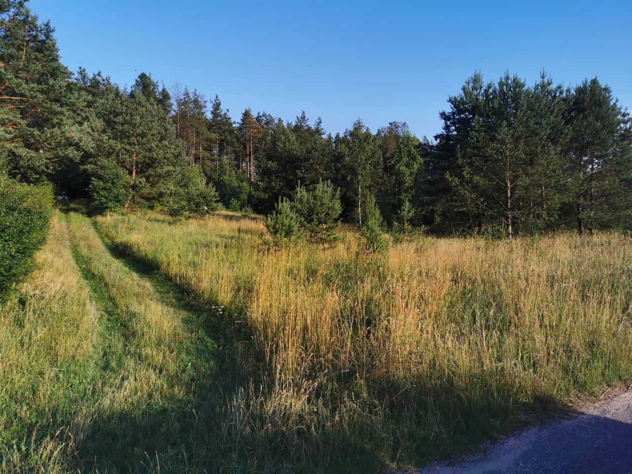 Działka budowlana Studzienice, ul. Wczasowa. Zdjęcie 4