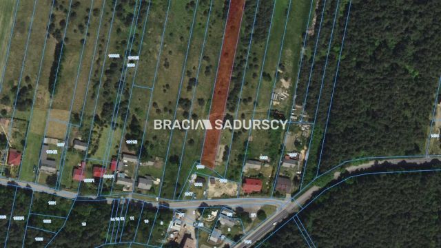 Działka rolno-budowlana Rokitno Szlacheckie. Zdjęcie 3