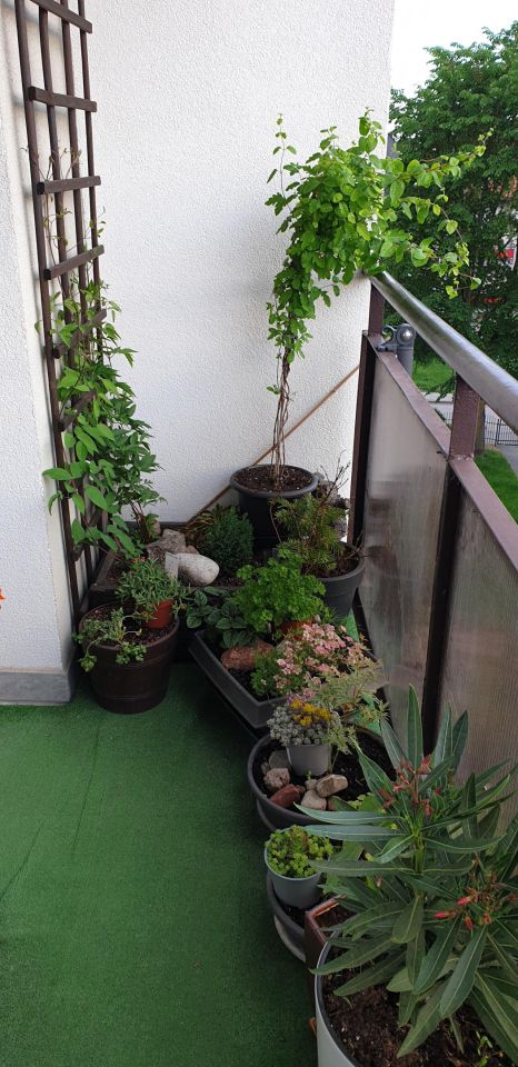 Mieszkanie 3-pokojowe Giżycko, ul. Konarskiego. Zdjęcie 6