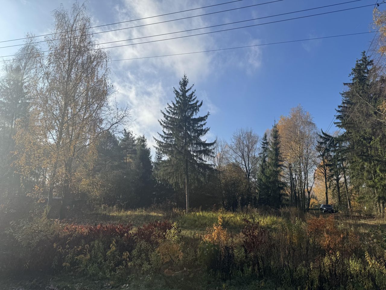 Działka budowlana Wola Karczewska. Zdjęcie 5