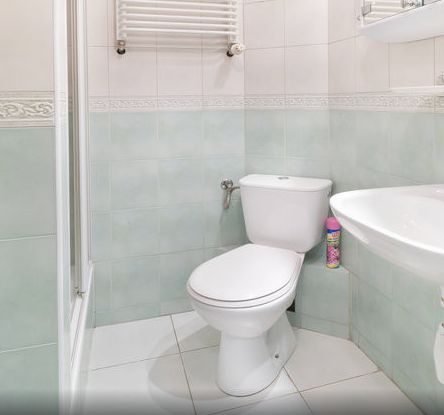 Mieszkanie 2-pokojowe Poznań Jeżyce, ul. Mylna. Zdjęcie 6