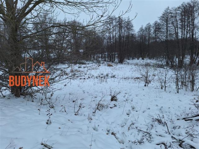 Działka rolna Przystawy. Zdjęcie 8