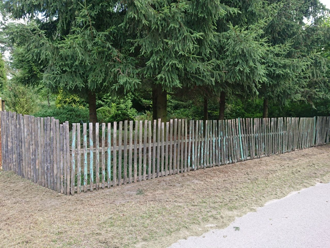 Działka rolno-budowlana Stary Boguszyn. Zdjęcie 4