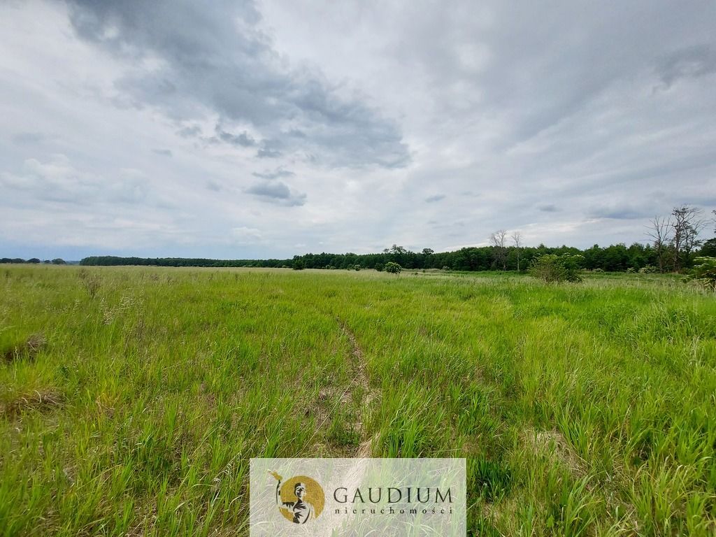 Działka Karszyn. Zdjęcie 11