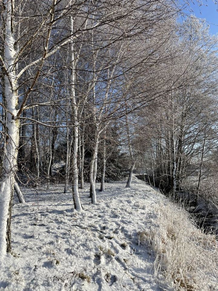 Działka budowlana Krzyworzeka. Zdjęcie 3