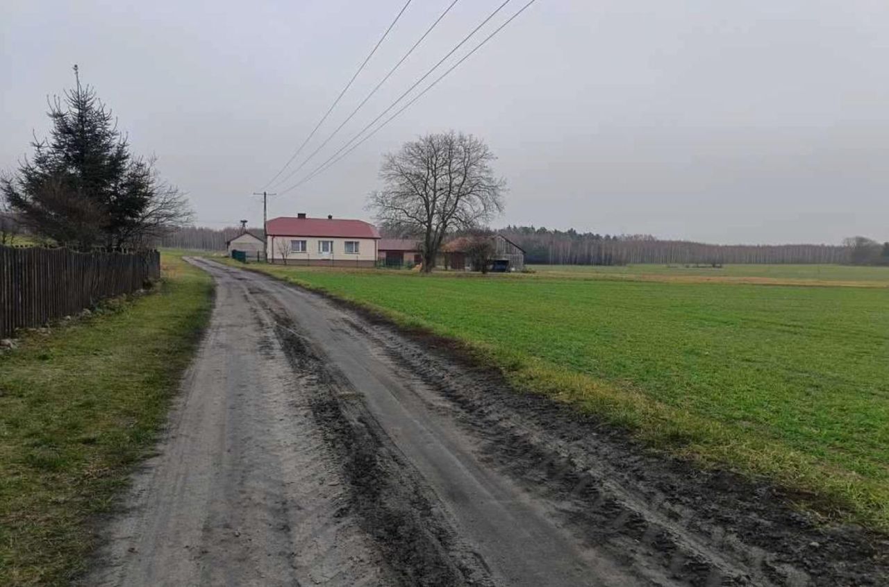 Działka siedliskowa Bachus. Zdjęcie 9