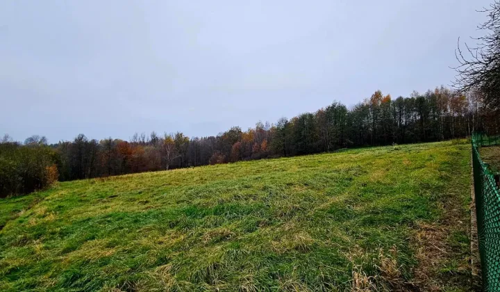 Działka rolno-budowlana Siepraw Brzeg, ul. Wrzosowa