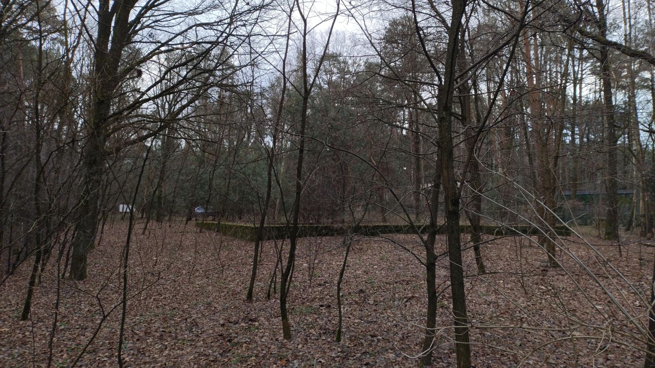 Działka budowlana Zofiówka, ul. Cmentarna. Zdjęcie 18