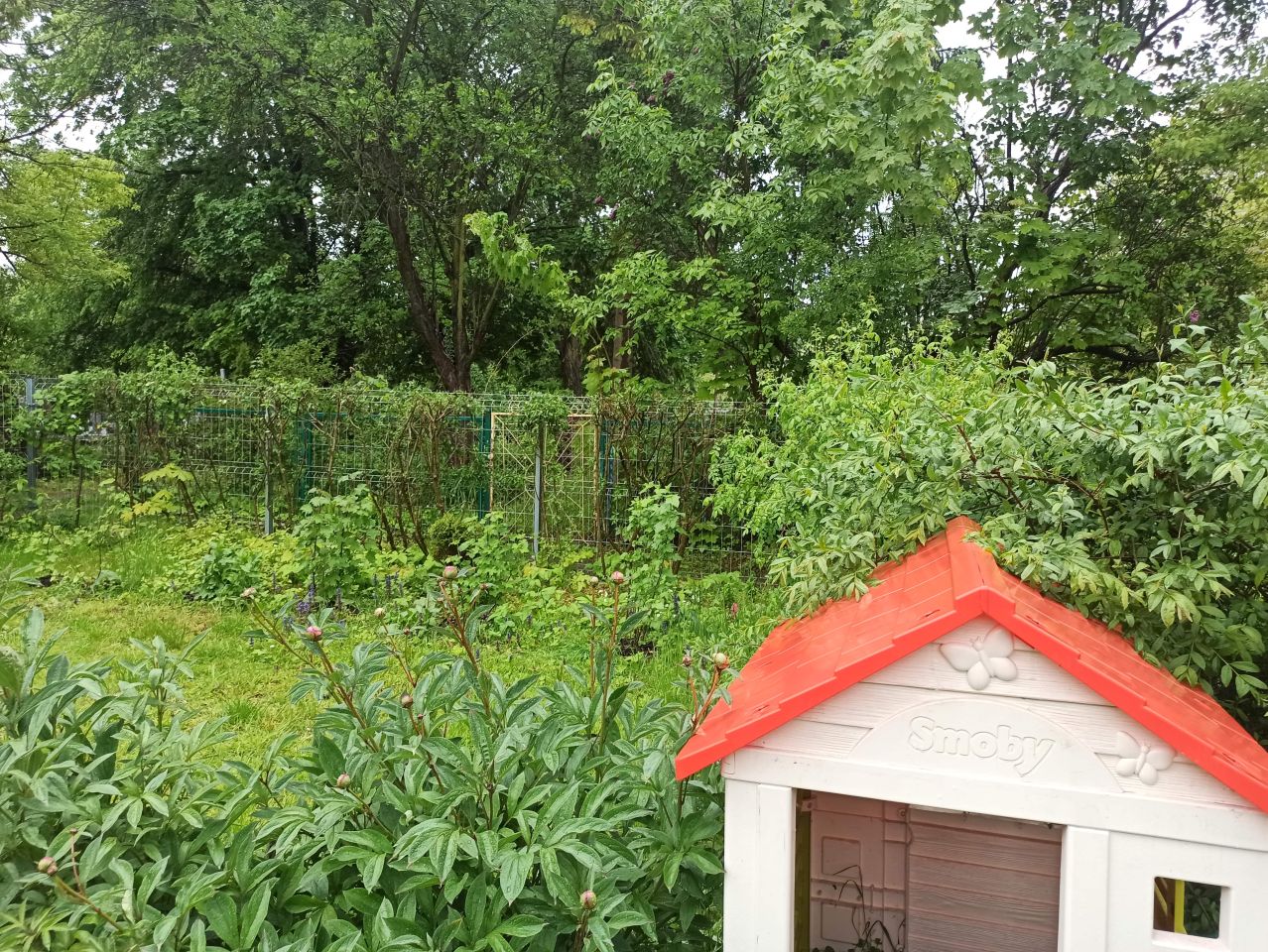 Działka rod Kraków Grzegórzki, ul. Rakowicka. Zdjęcie 5