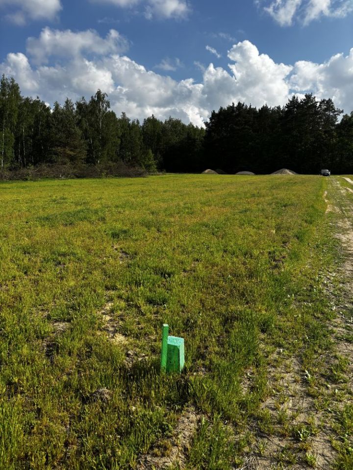Działka rolno-budowlana Grabice. Zdjęcie 6