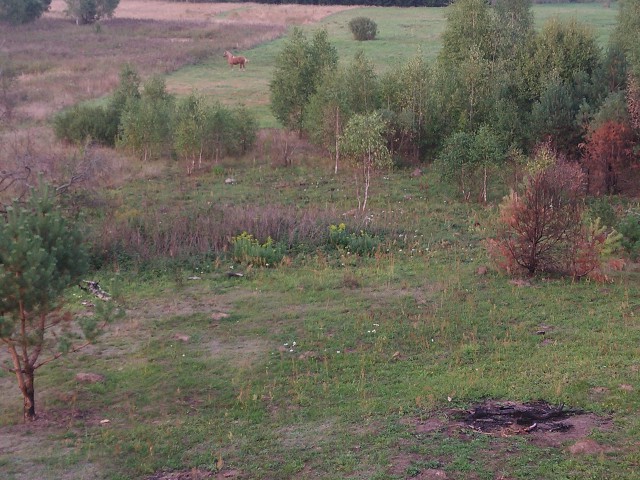 Działka rolno-budowlana Bobrowa. Zdjęcie 1