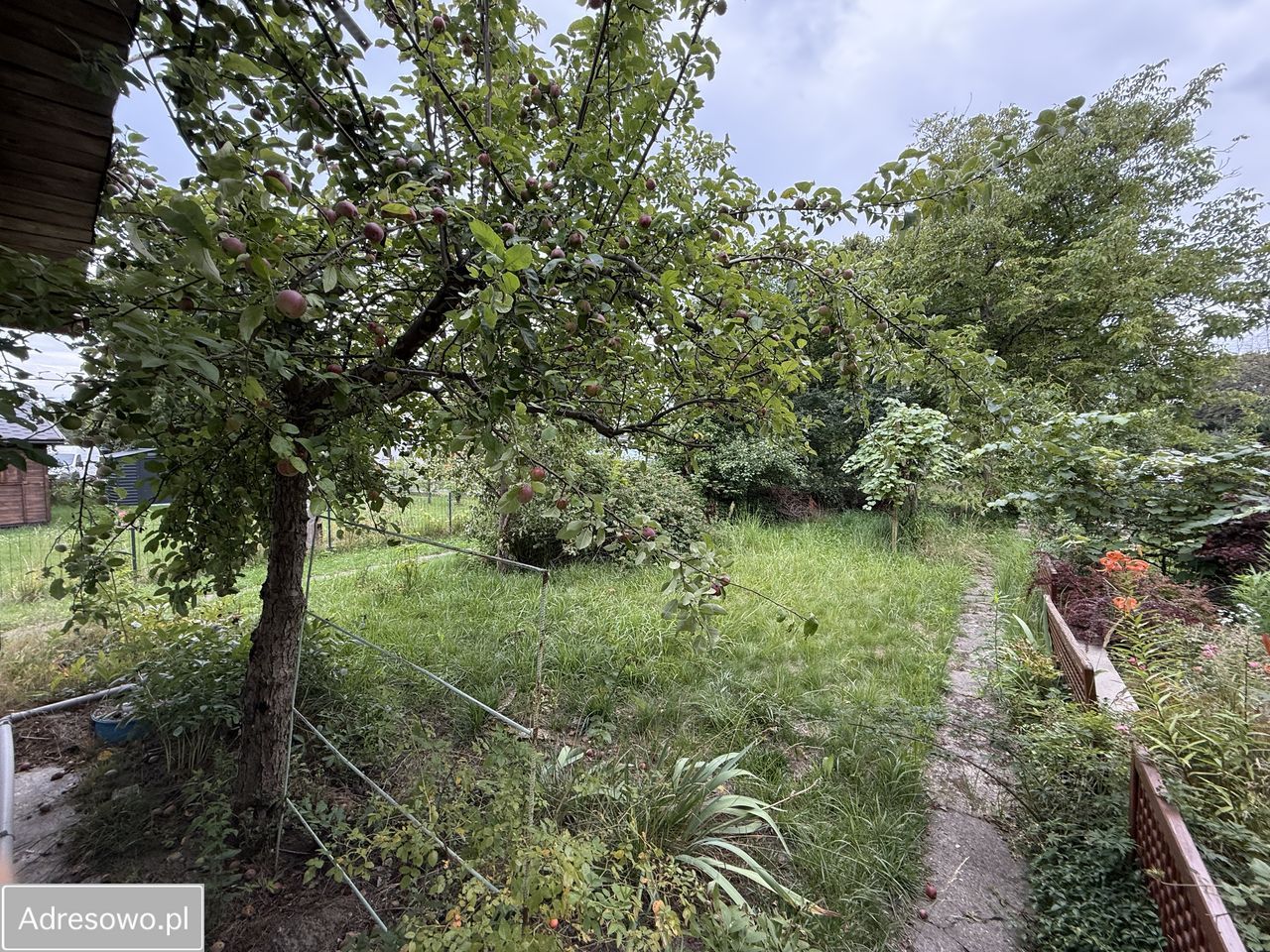 Działka rod Łódź Widzew. Zdjęcie 8