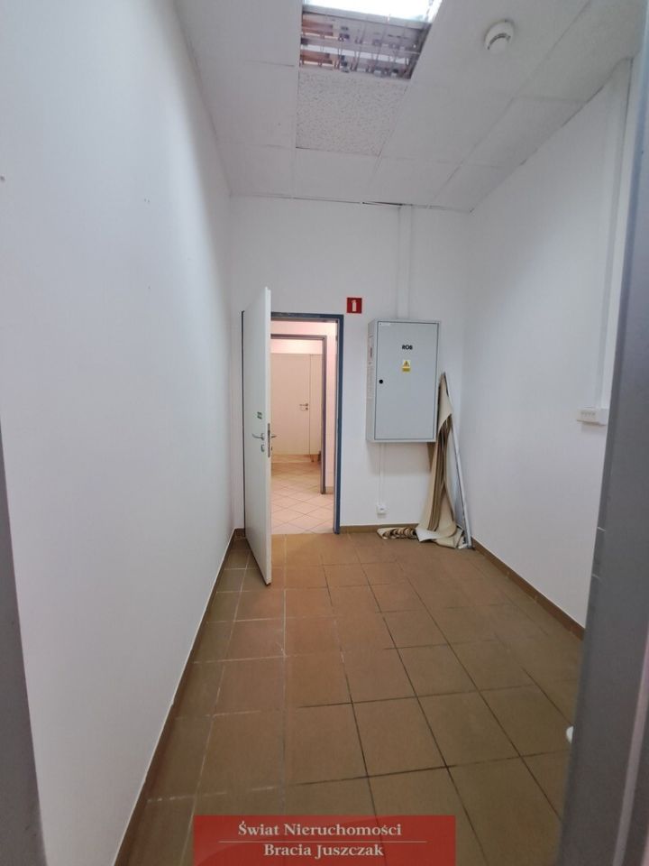 Lokal Wrocław. Zdjęcie 3