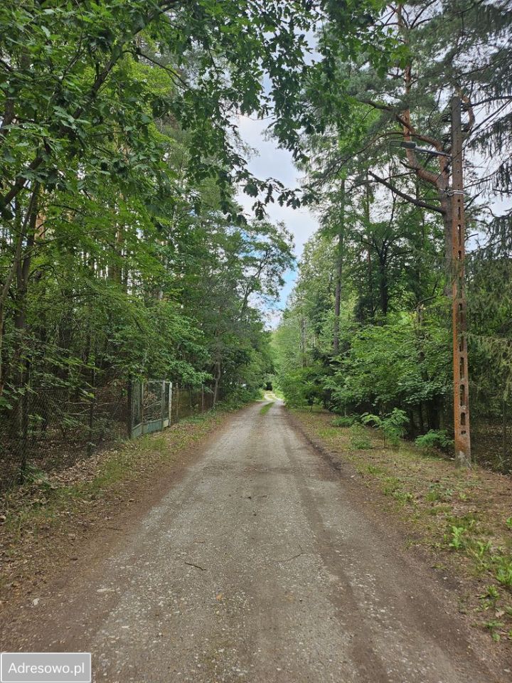 Działka rekreacyjna Siestrzeń, ul. Klonowa. Zdjęcie 4