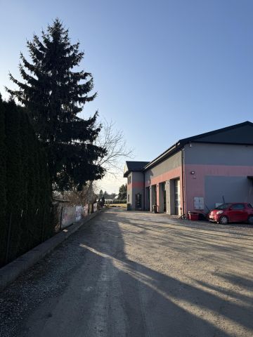 Lokal Dwikozy, ul. Sandomierska. Zdjęcie 12