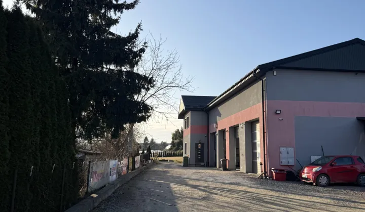 Lokal Dwikozy, ul. Sandomierska