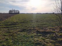 Działka rolno-budowlana Bukowice. Zdjęcie 4