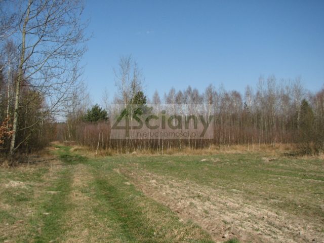 Działka budowlana Wierzchowisko. Zdjęcie 4