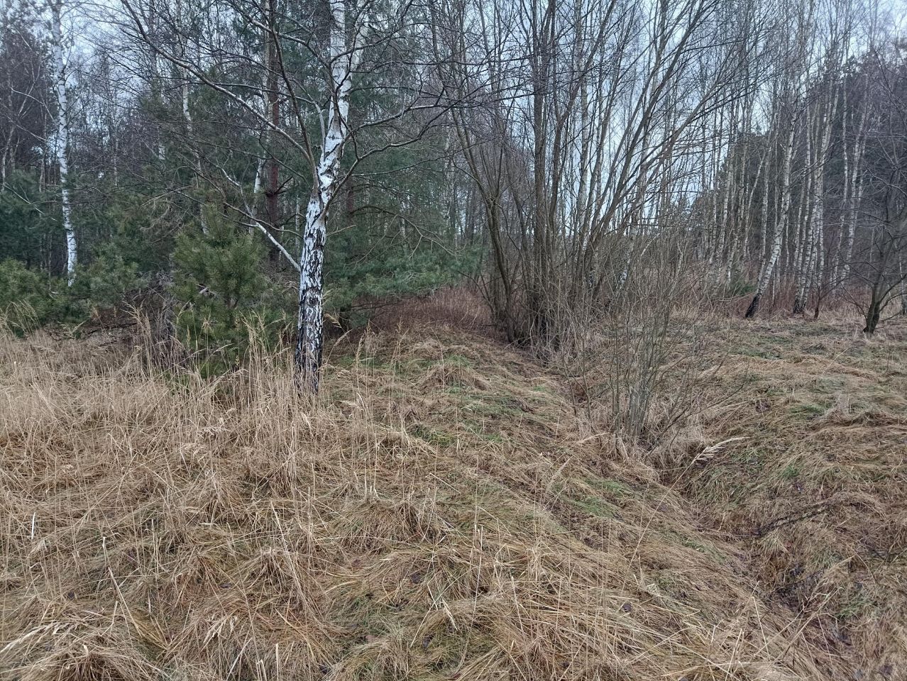 Działka budowlana Kroczyce Jeziorki, ul. Jeziorki. Zdjęcie 3