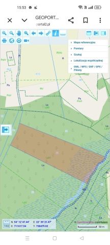 Działka leśna Filipów Drugi. Zdjęcie 1