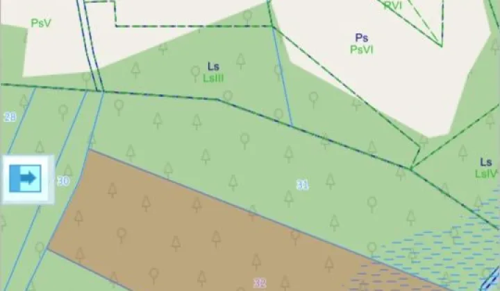 Działka leśna Filipów Drugi