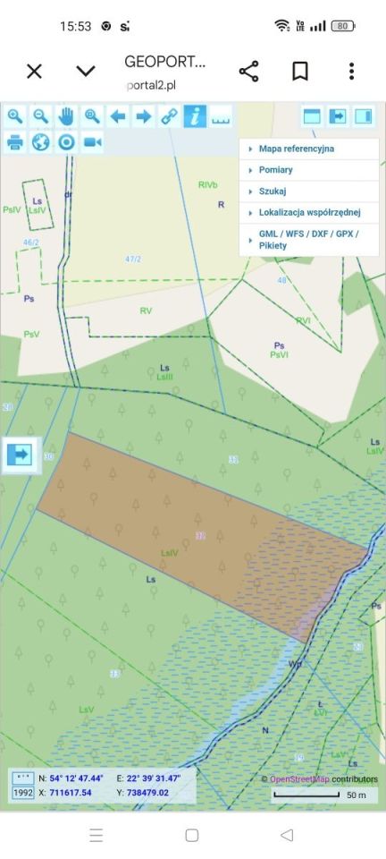 Działka leśna Filipów Drugi. Zdjęcie 1