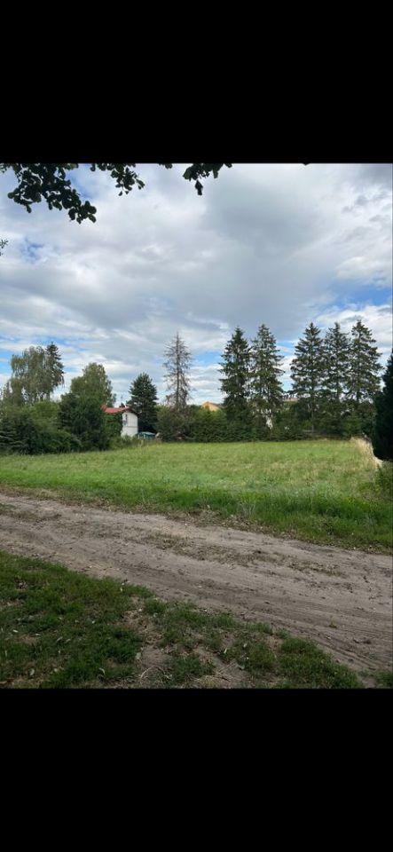 Działka budowlana Lubichowo. Zdjęcie 1