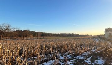 Działka inwestycyjna Lubaczów, ul. Przemysłowa