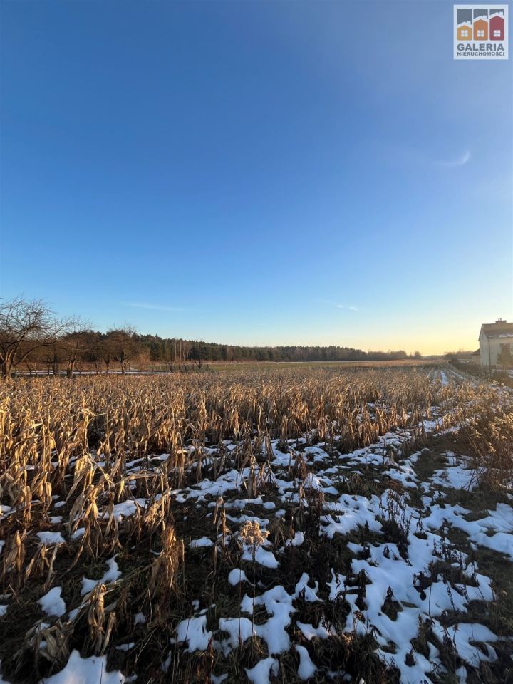 Działka inwestycyjna Lubaczów, ul. Przemysłowa