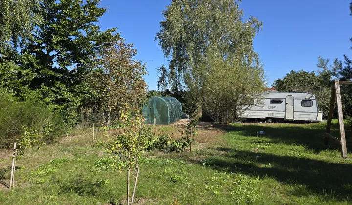 Działka rod Września Centrum, ul. Jana Matejki