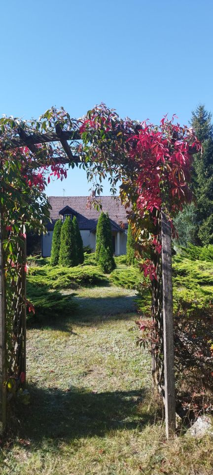 dom wolnostojący, 8 pokoi Lubień. Zdjęcie 10