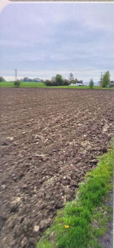 Działka budowlana Piotrków Trybunalski, Kolonia Szydłów. Zdjęcie 2