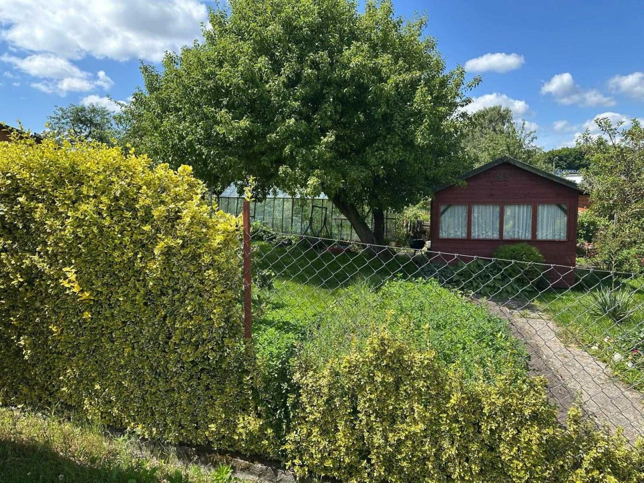 Działka rod Olsztyn, ul. Bydgoska. Zdjęcie 5