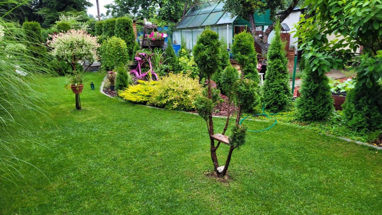 Działka rod Będzin Boleradz. Zdjęcie 6