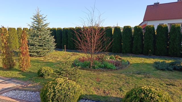 dom wolnostojący, 5 pokoi Michałów, Michałów. Zdjęcie 5