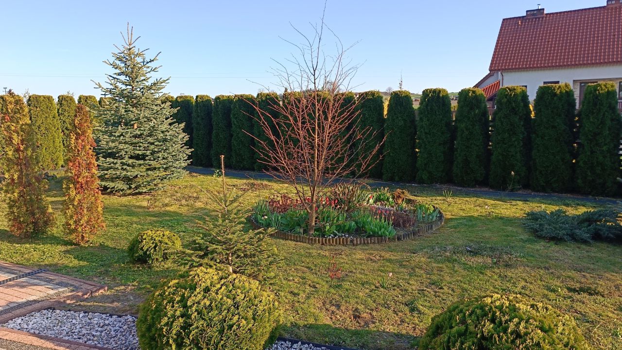 dom wolnostojący, 5 pokoi Michałów, Michałów. Zdjęcie 5