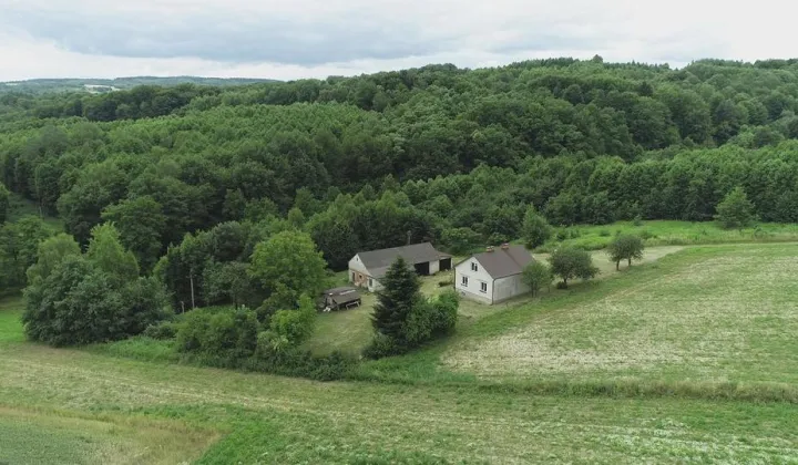 dom wolnostojący, 3 pokoje Nowa Wieś