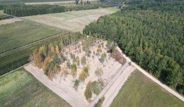 Działka budowlana Zimnice